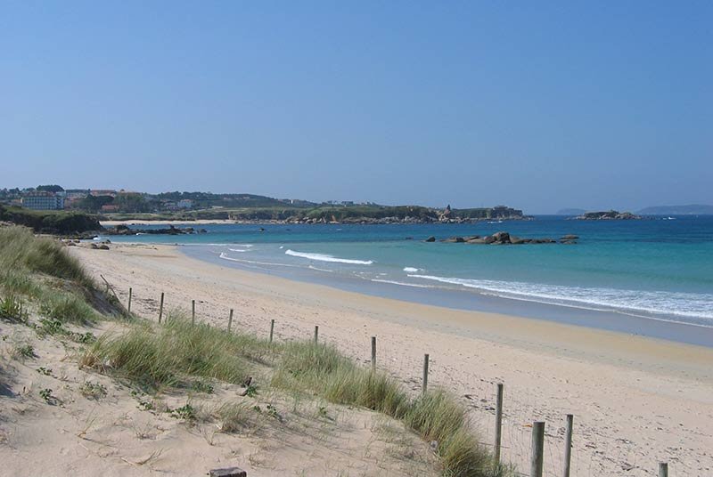 la vegetacion dunar llega a la playa